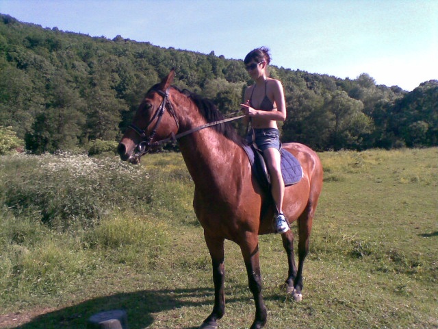 ScholaInNatura Fotogaleria