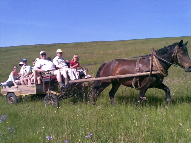 ScholaInNatura Fotogaleria