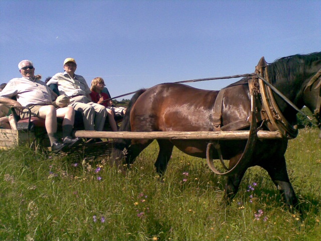 ScholaInNatura Fotogaleria