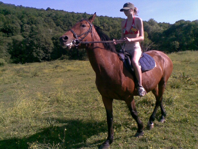 ScholaInNatura Fotogaleria