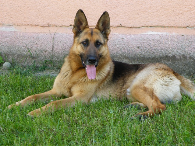 ScholaInNatura Fotogaleria