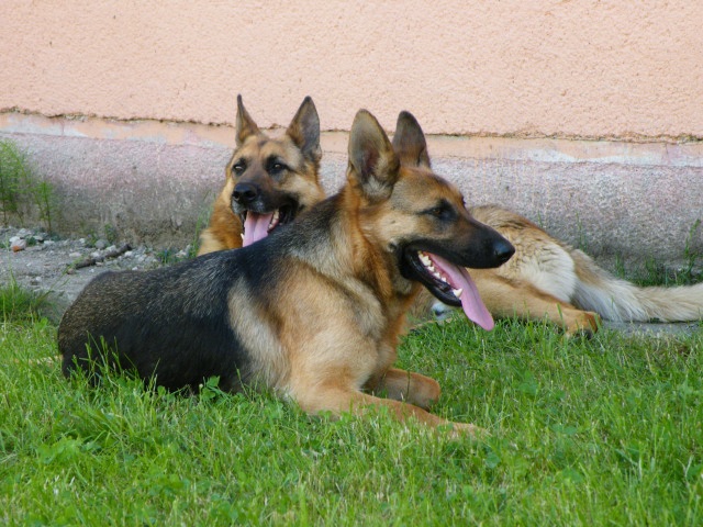 ScholaInNatura Fotogaleria