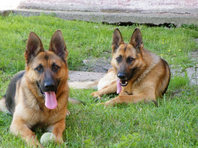 ScholaInNatura Fotogaleria