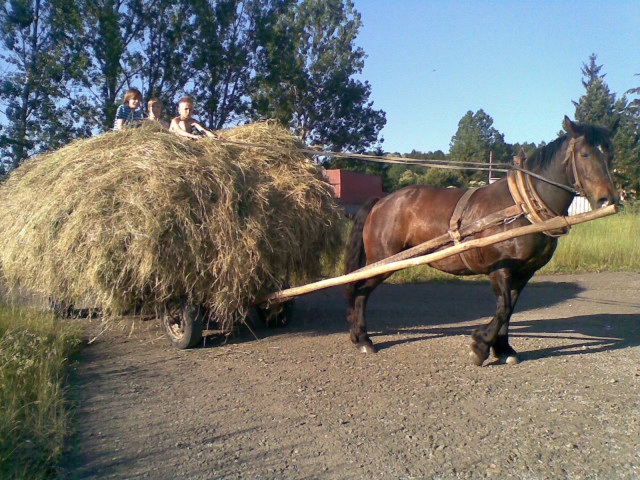 ScholaInNatura Fotogaleria