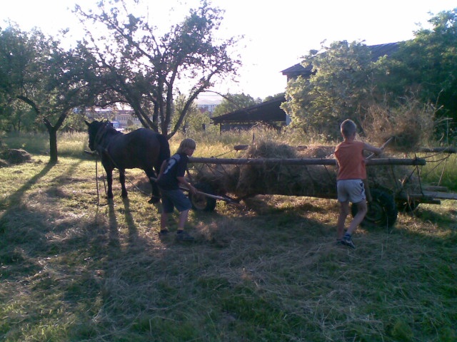 ScholaInNatura Fotogaleria