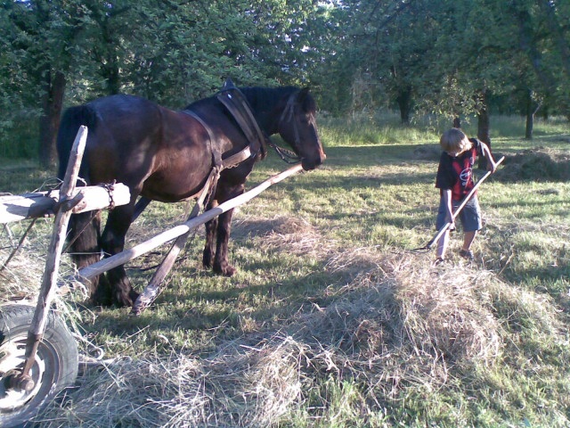 ScholaInNatura Fotogaleria