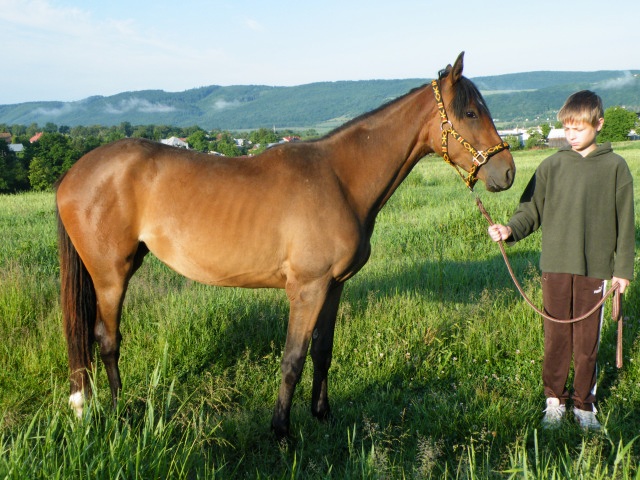 ScholaInNatura Fotogaleria