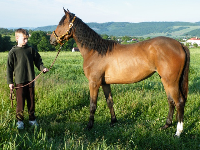 ScholaInNatura Fotogaleria