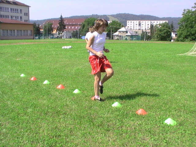 ScholaInNatura Fotogaleria