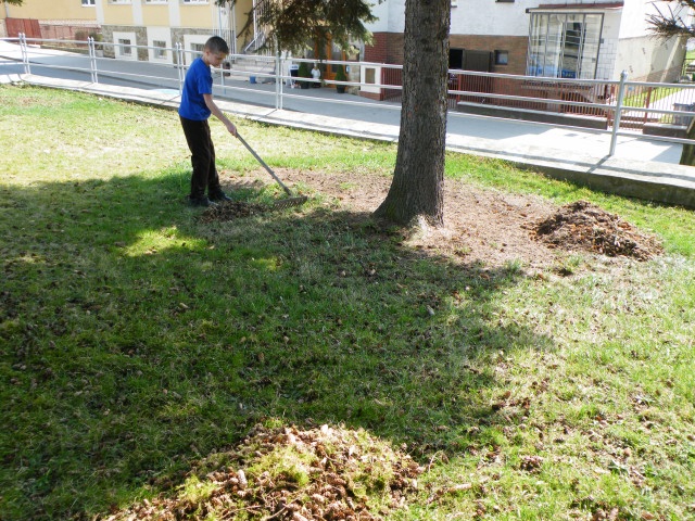 ScholaInNatura Fotogaleria