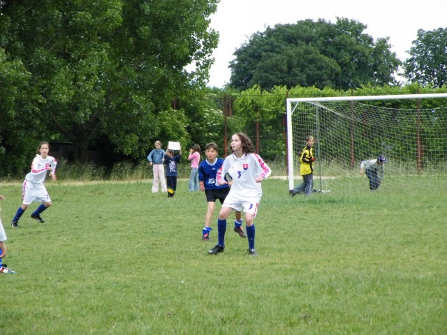 ScholaInNatura Fotogaleria