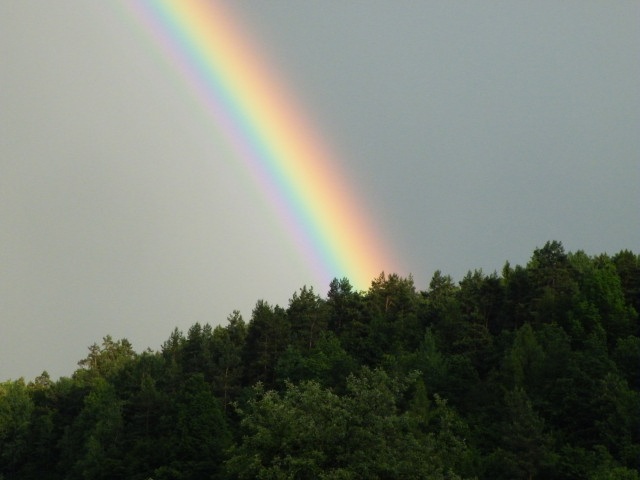 ScholaInNatura Fotogaleria