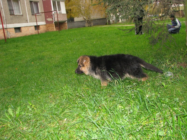 ScholaInNatura Fotogaleria