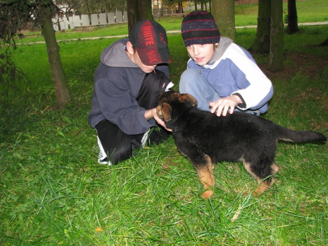 ScholaInNatura Fotogaleria