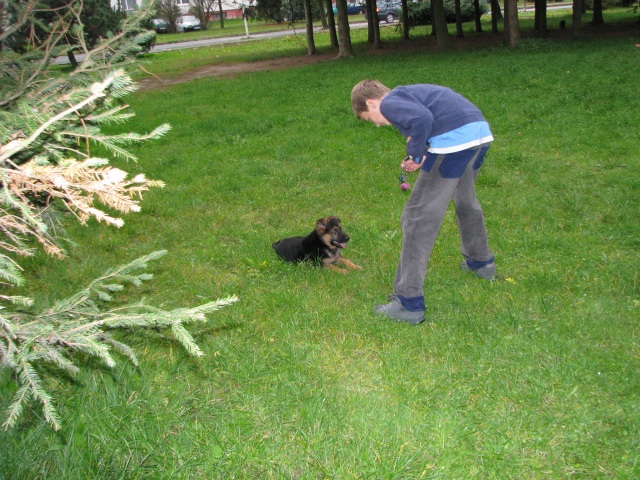 ScholaInNatura Fotogaleria