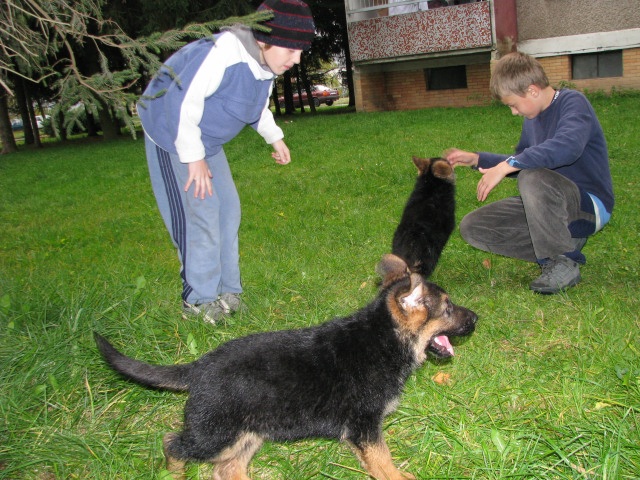 ScholaInNatura Fotogaleria