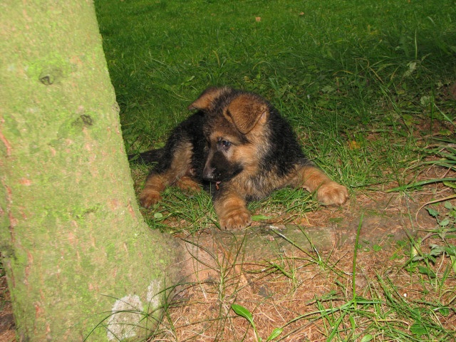 ScholaInNatura Fotogaleria