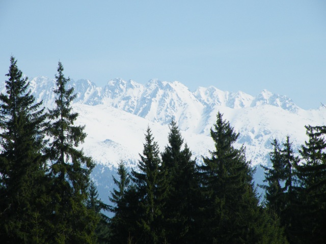 ScholaInNatura Fotogaleria