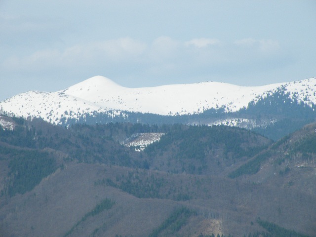 ScholaInNatura Fotogaleria