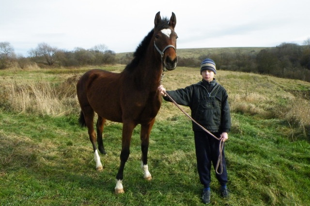 ScholaInNatura Fotogaleria