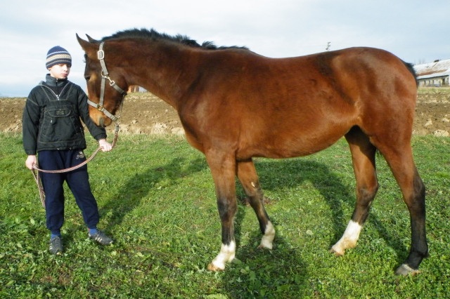 ScholaInNatura Fotogaleria