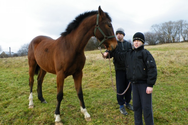 ScholaInNatura Fotogaleria