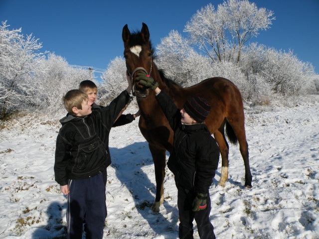 ScholaInNatura Fotogaleria