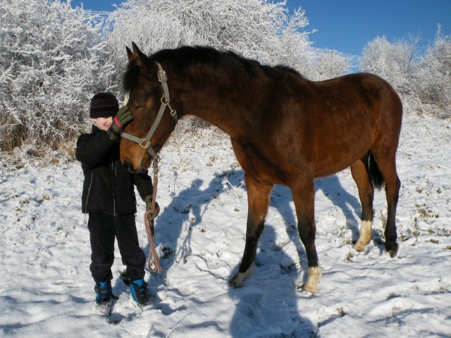 ScholaInNatura Fotogaleria