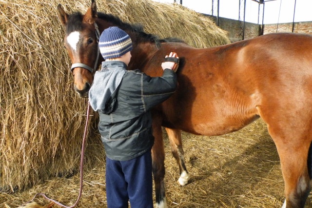ScholaInNatura Fotogaleria