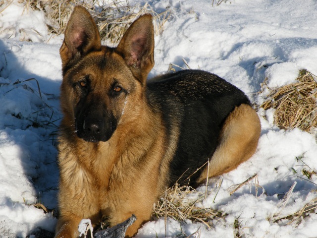 ScholaInNatura Fotogaleria