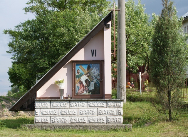 ScholaInNatura Fotogaleria