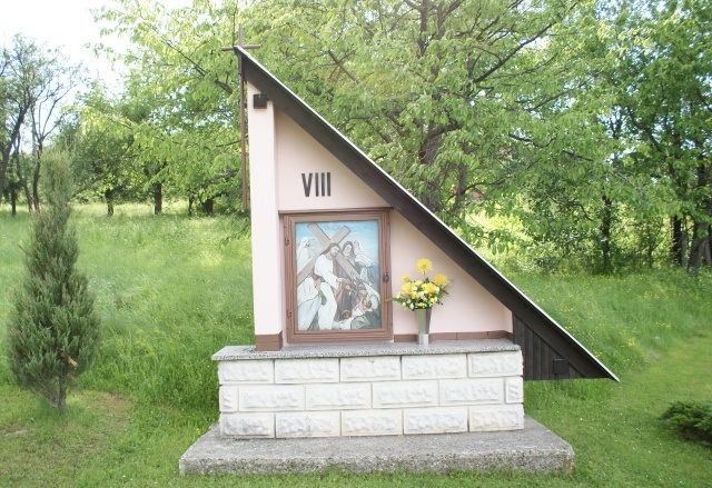 ScholaInNatura Fotogaleria