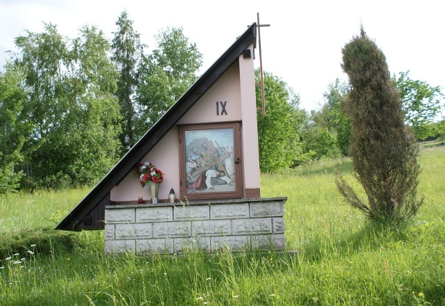 ScholaInNatura Fotogaleria