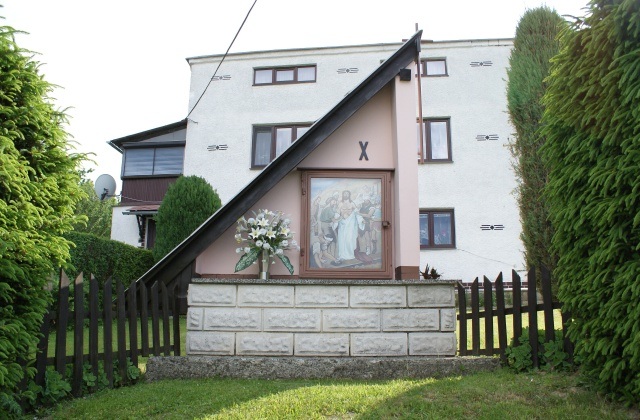 ScholaInNatura Fotogaleria