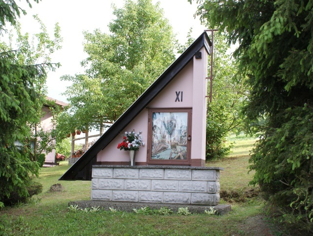 ScholaInNatura Fotogaleria