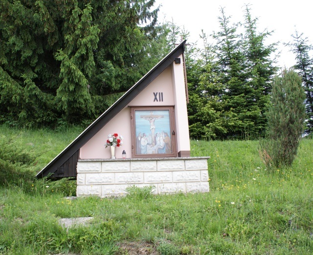 ScholaInNatura Fotogaleria