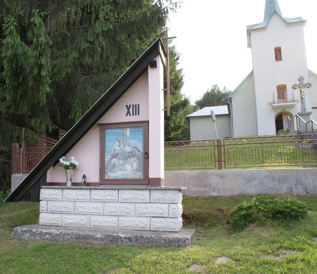 ScholaInNatura Fotogaleria