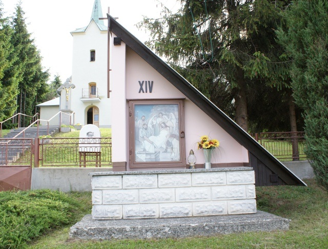 ScholaInNatura Fotogaleria