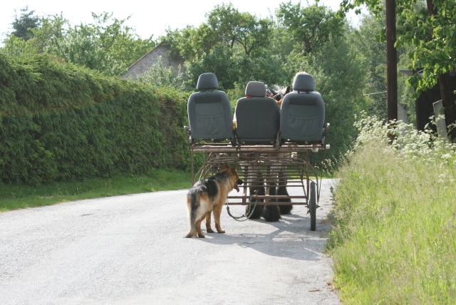 ScholaInNatura Fotogaleria
