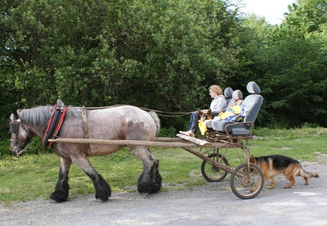 ScholaInNatura Fotogaleria