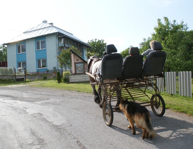 ScholaInNatura Fotogaleria