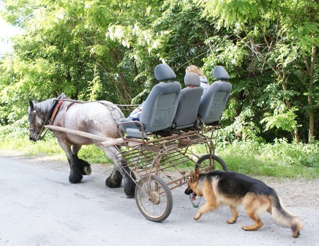 ScholaInNatura Fotogaleria
