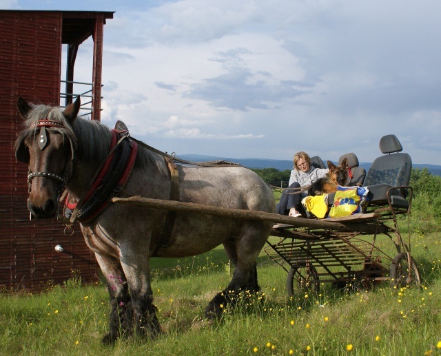 ScholaInNatura Fotogaleria