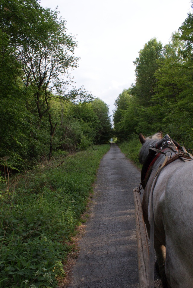 ScholaInNatura Fotogaleria