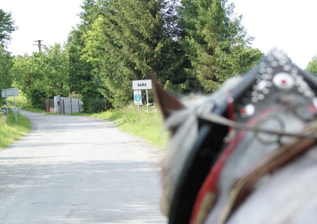 ScholaInNatura Fotogaleria