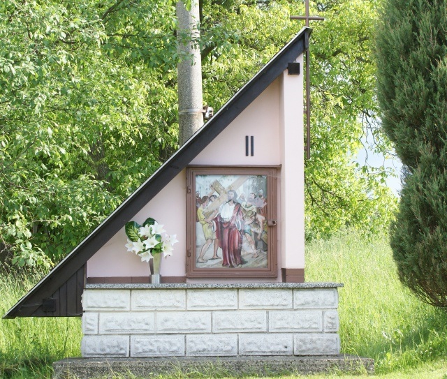 ScholaInNatura Fotogaleria