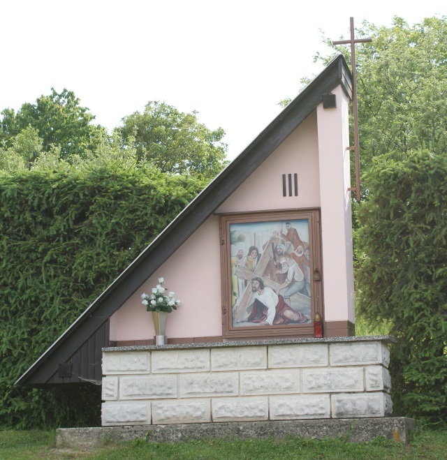 ScholaInNatura Fotogaleria