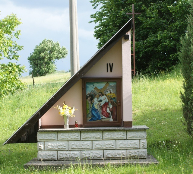 ScholaInNatura Fotogaleria