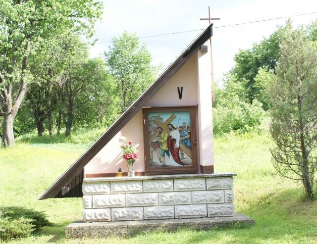 ScholaInNatura Fotogaleria