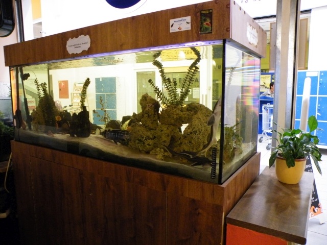 ScholaInNatura Fotogaleria